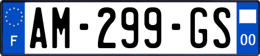 AM-299-GS