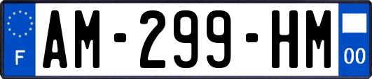 AM-299-HM
