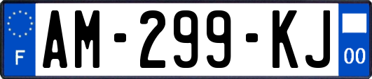 AM-299-KJ