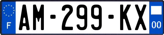 AM-299-KX