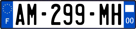 AM-299-MH