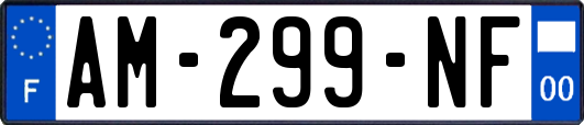 AM-299-NF