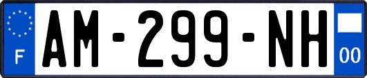 AM-299-NH