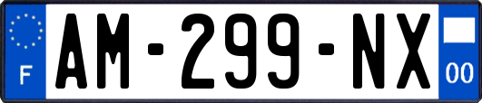 AM-299-NX