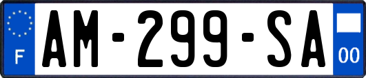 AM-299-SA