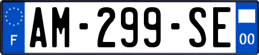 AM-299-SE