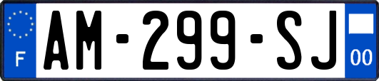 AM-299-SJ