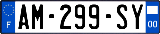 AM-299-SY