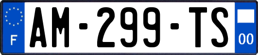AM-299-TS