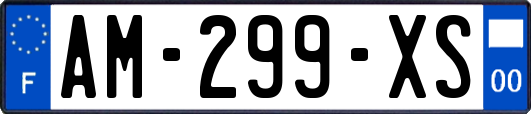 AM-299-XS