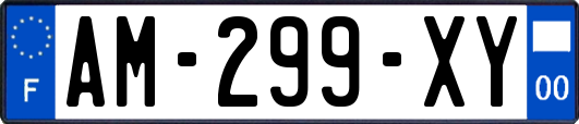 AM-299-XY