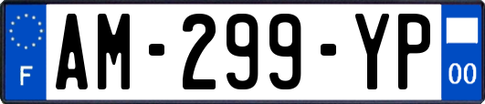 AM-299-YP