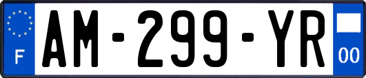 AM-299-YR