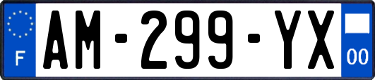 AM-299-YX