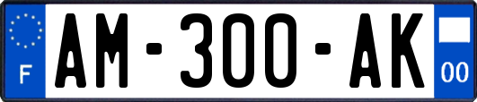 AM-300-AK