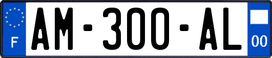 AM-300-AL