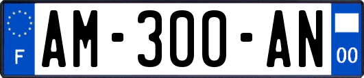 AM-300-AN