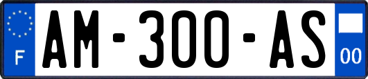 AM-300-AS