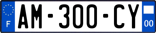 AM-300-CY