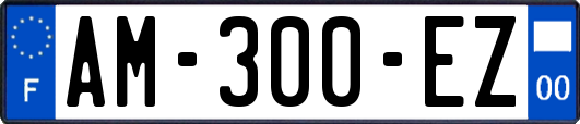 AM-300-EZ