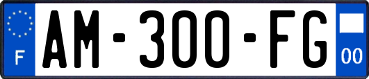 AM-300-FG