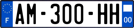 AM-300-HH