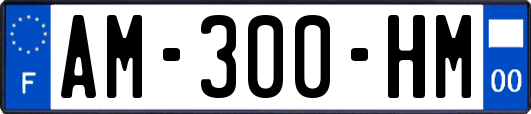 AM-300-HM