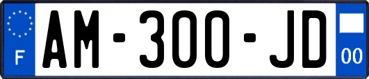 AM-300-JD