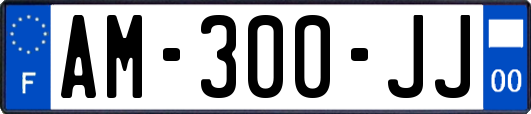 AM-300-JJ