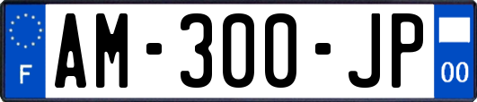 AM-300-JP