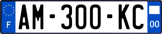AM-300-KC