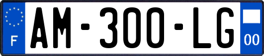 AM-300-LG