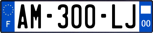 AM-300-LJ
