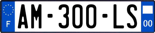 AM-300-LS