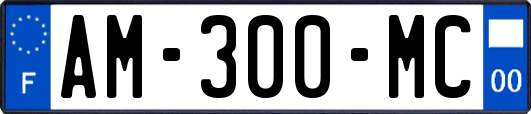 AM-300-MC