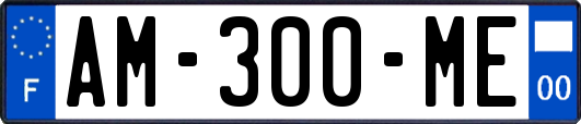 AM-300-ME