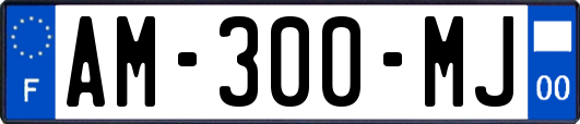 AM-300-MJ