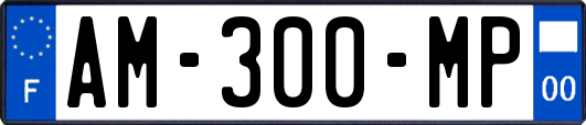 AM-300-MP