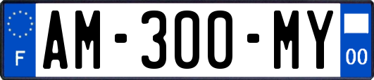 AM-300-MY