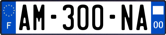 AM-300-NA