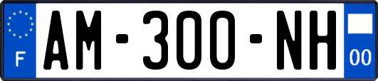 AM-300-NH