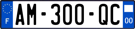 AM-300-QC
