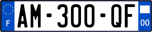 AM-300-QF