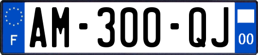 AM-300-QJ