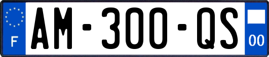 AM-300-QS