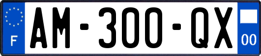 AM-300-QX