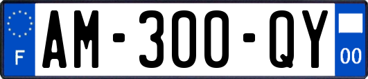AM-300-QY