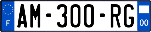 AM-300-RG