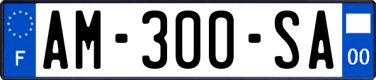 AM-300-SA