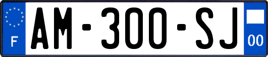 AM-300-SJ